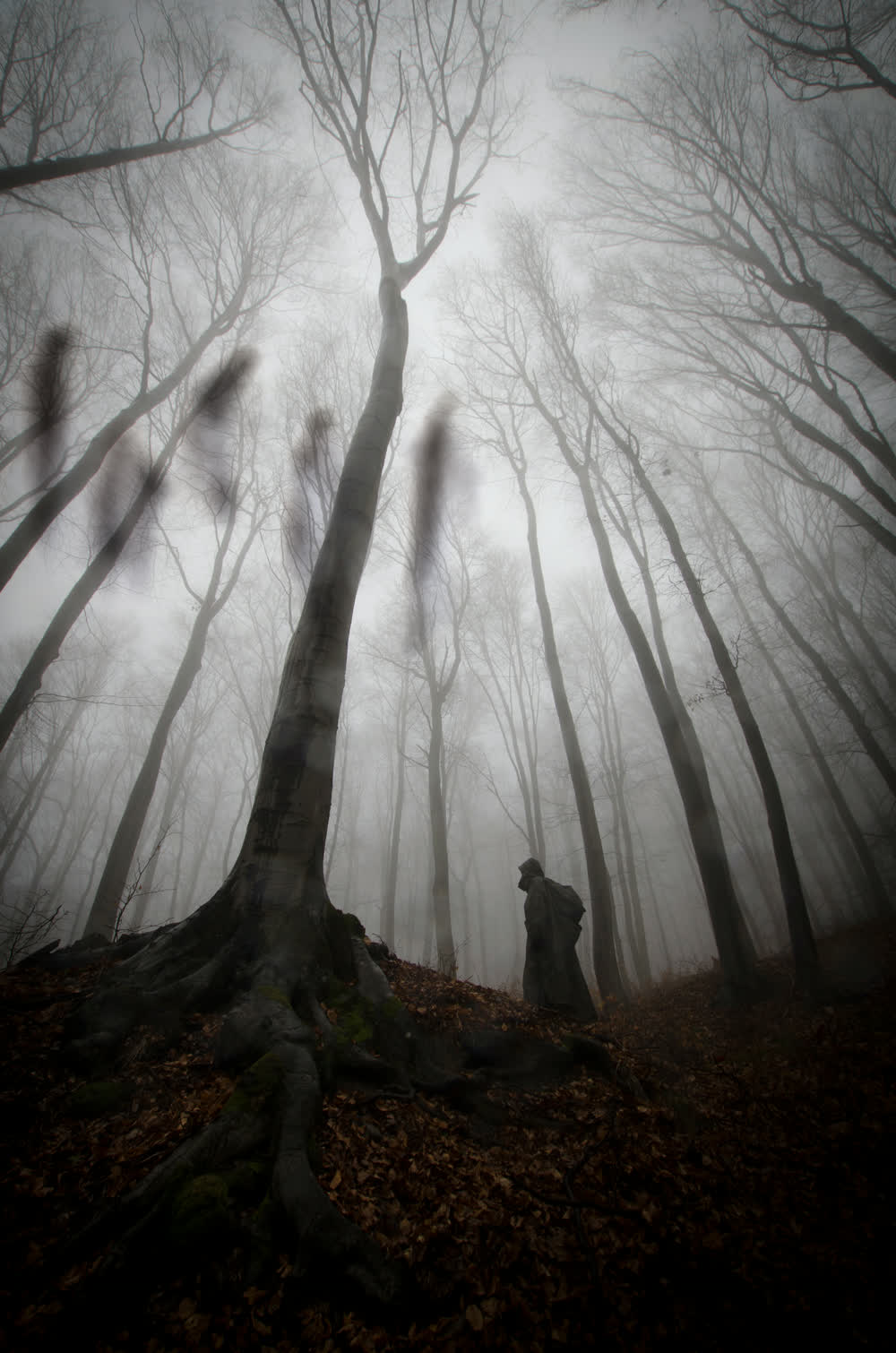 Floresta de neblina, com vultos escuros entre as árvores e uma figura encapuzada